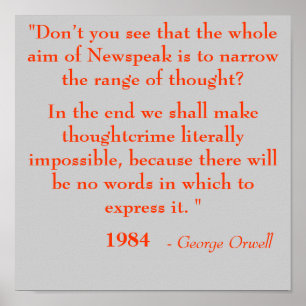 Póster Newspeak
