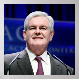 Póster Newt Gingrich