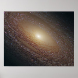 Póster NGC 2841 Galáxia Espiral