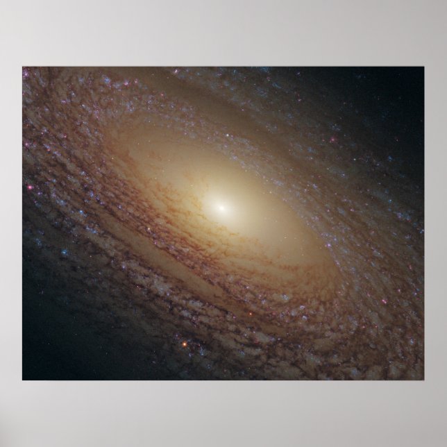 Póster NGC 2841 Galáxia Espiral (Frente)