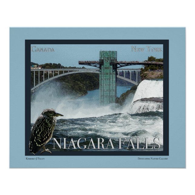 Póster Niagara Falls Poster (Frente)