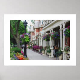 Póster Niágara no lago