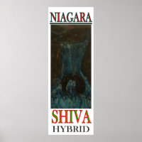 NIAGARA SHIVA HYBRID