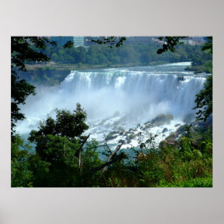 Poster Niagra Fala Canvas