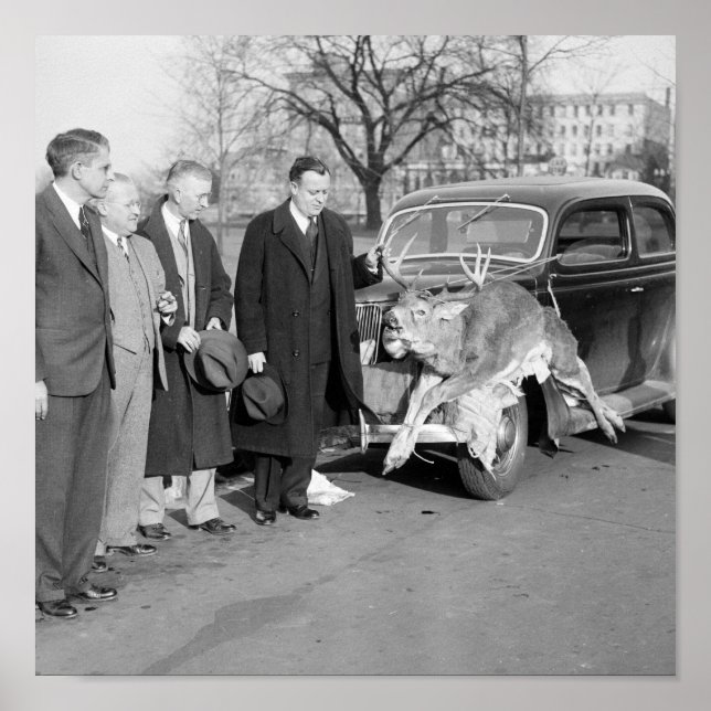 Poster Nice Rack, 1938 (Frente)