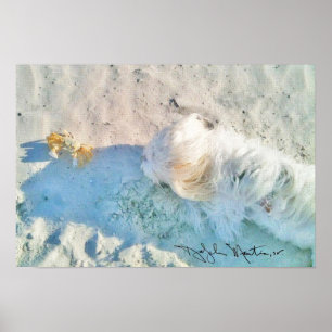 Póster Nicholas & amigo