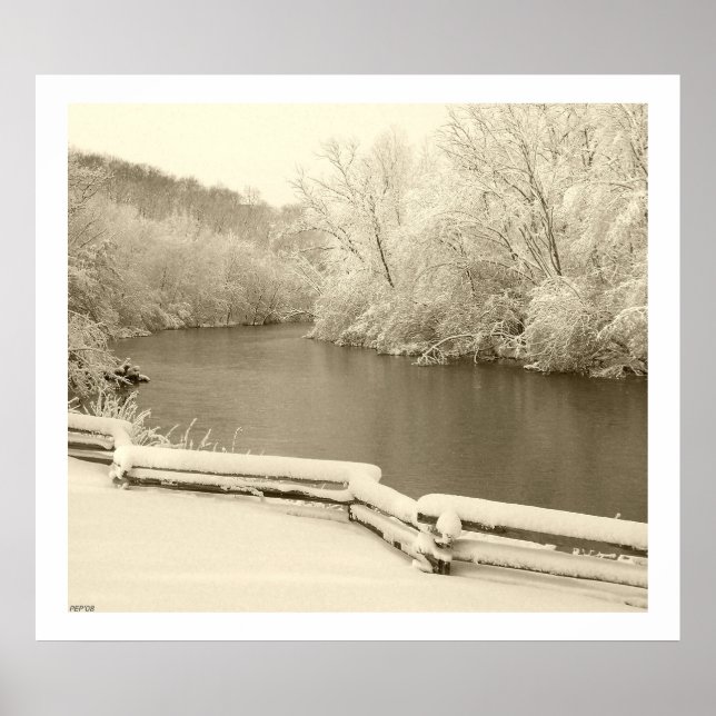 Póster Nichols Arboretum (Frente)