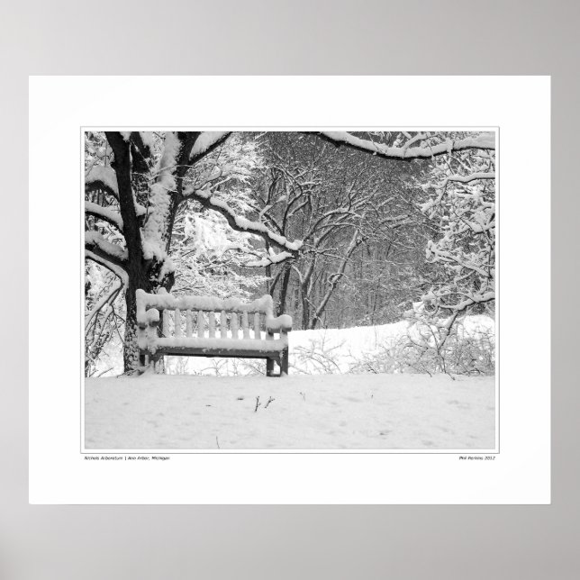 Póster Nichols Arboretum #1 (Frente)