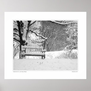 Póster Nichols Arboretum nº 1