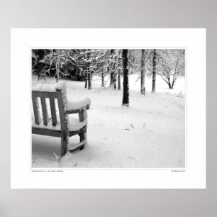 Póster Nichols Arboretum nº 3