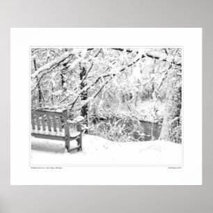 Póster Nichols Arboretum nº 4