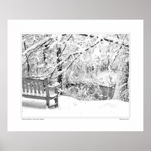 Póster Nichols Arboretum nº 4 (Frente)