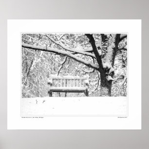 Póster Nichols Arboretum nº 5