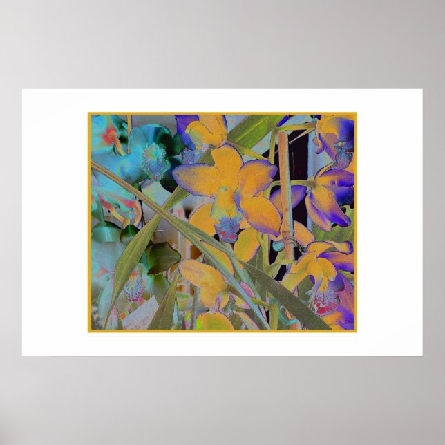 Poster Night Bloom (Frente)