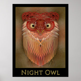 Póster Night Owl