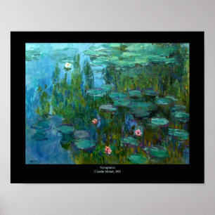 Poster Ninféas de Claude Monet
