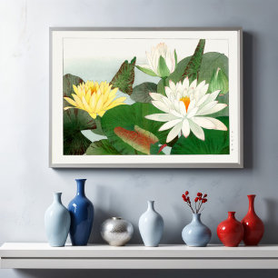 Poster Ninfhaea lotus
