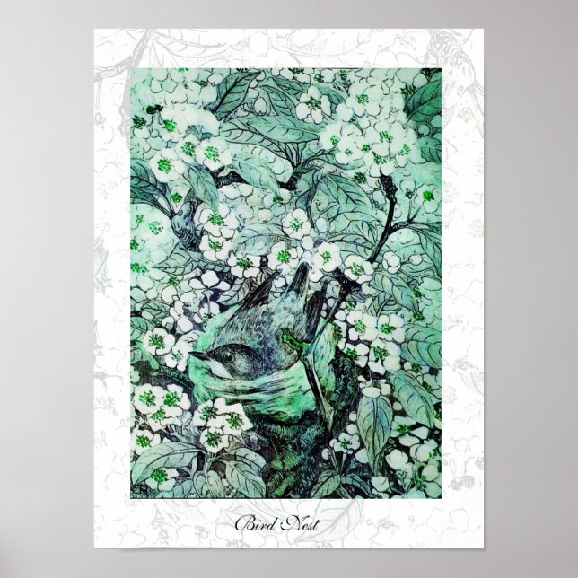 Poster NINHO DE PÁSSARO, branco verde (Frente)