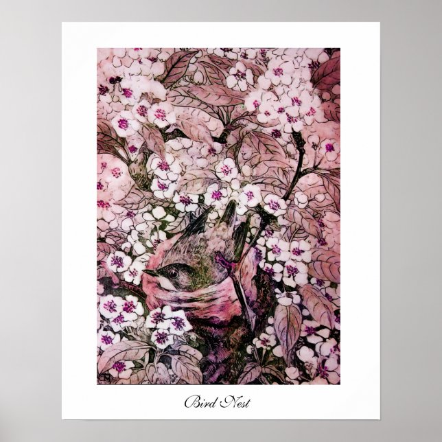 Poster NINHO DE PÁSSARO, branco vermelho rosa (Frente)