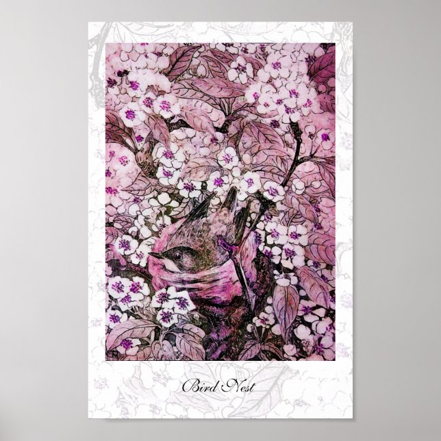 Poster NINHO DE PÁSSARO, branco vermelho rosa violeta (Frente)