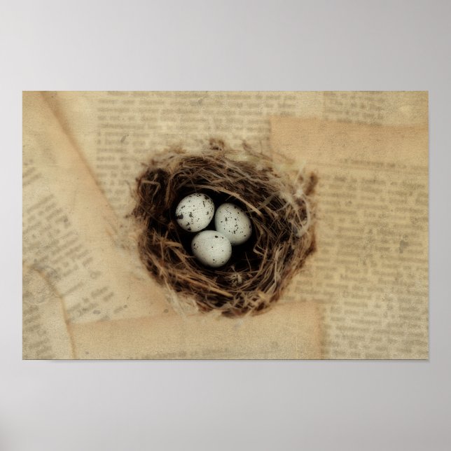 Póster Ninho de pássaro com Páscoa de óculos moderna (Frente)