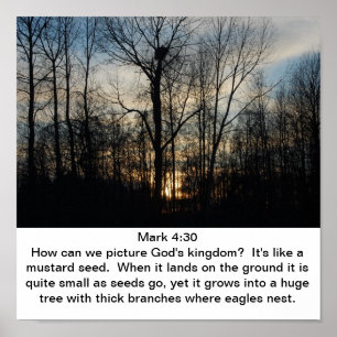 Poster Ninho do Reino de Deus