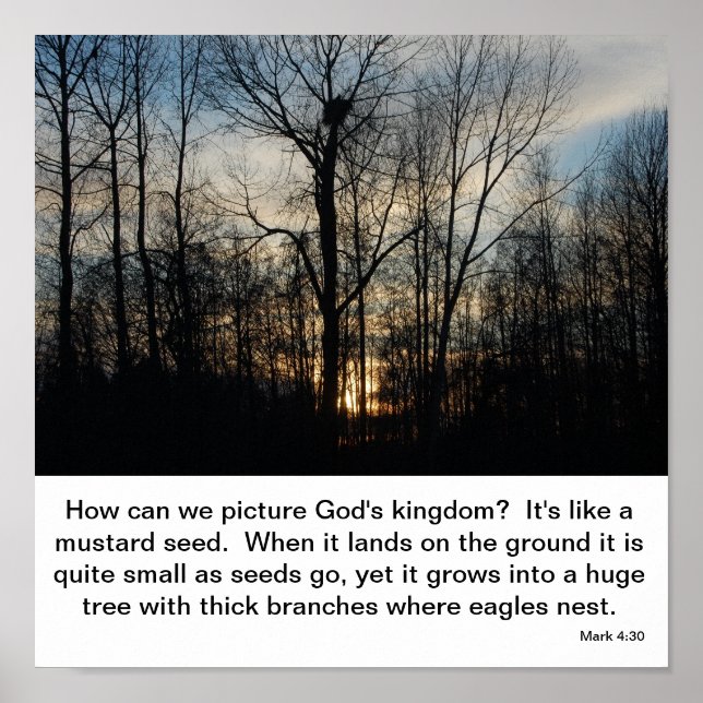 Poster Ninho do Reino de Deus (Frente)