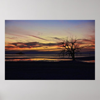 Poster Ninhos Vazios em uma Árvore de Morto