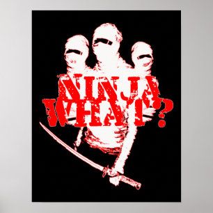 PÓSTER NINJA O QUÊ?