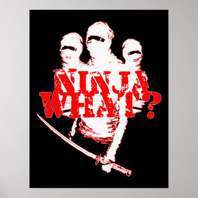 PÓSTER NINJA O QUÊ? (Frente)