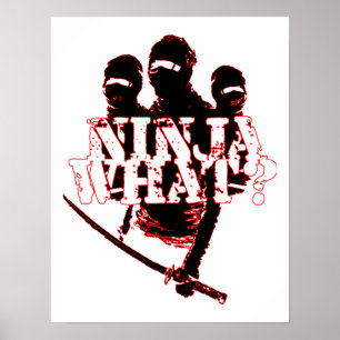 POSTER NINJA O QUÊ?