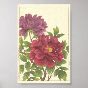 Poster Nishimura Hodo Peônia Flores Japoneses Arte Fino