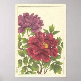 Poster Nishimura Hodo Peony Flores Japoneses de Belas Art