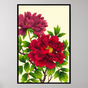 Póster Nishimura Hodo Peony japonês flores finas