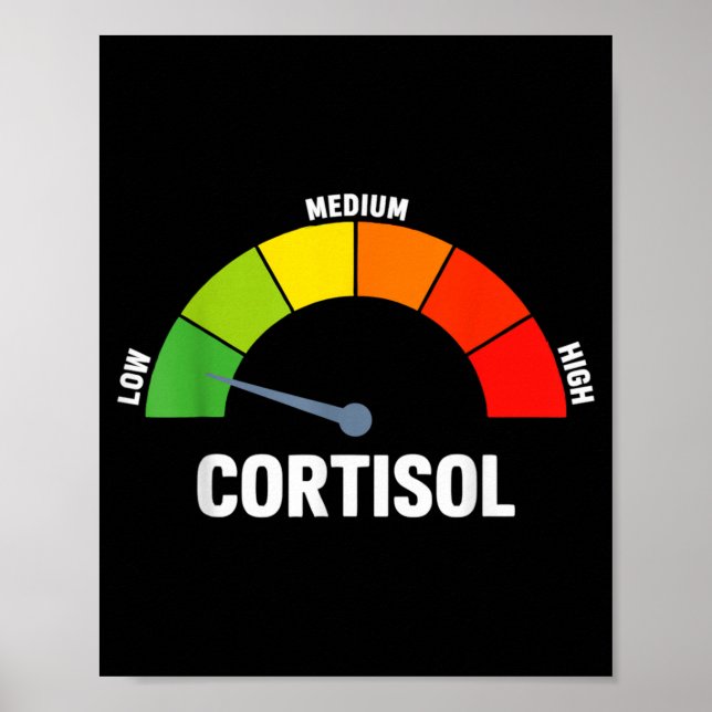 Poster Níveis baixos de cortisol meme  (Frente)