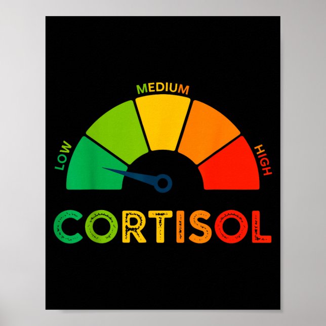 Poster Níveis baixos de cortisol v meme  (Frente)