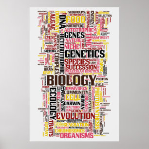 Póster No. 11 de Wordle da biologia