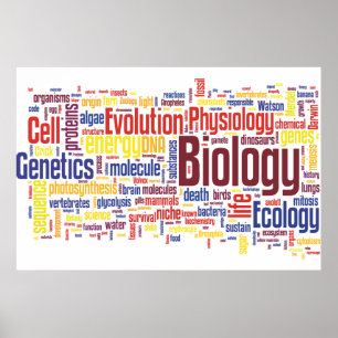 Poster No. 4 de Wordle da biologia