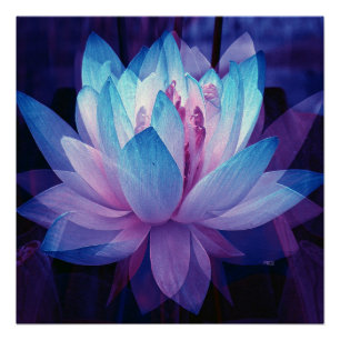 Póster No Amor Perfeito...