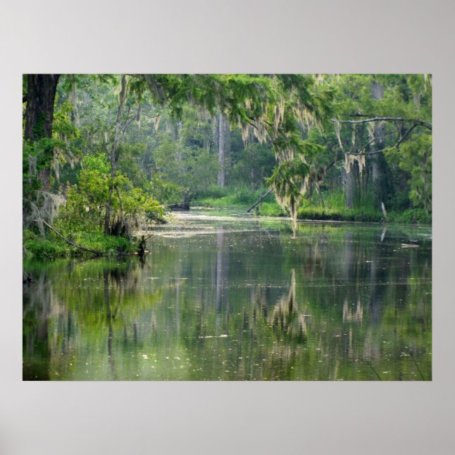 Póster No Bayou (Frente)