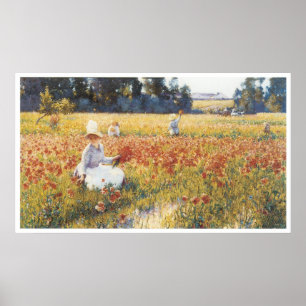 Poster No campo de Flanders - onde os soldados dormem &