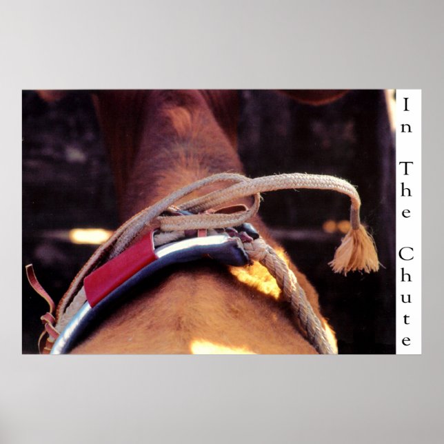 Poster No Chute (Frente)