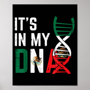 Poster no DNA Bandeira Mexicana Orgulhoso Orgulho México