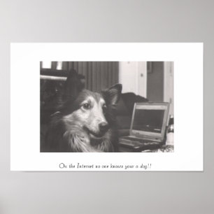 Póster No Internet ninguém sabe seu um cão!!