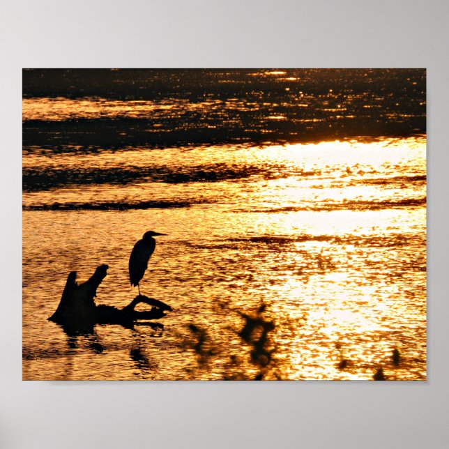 Póster No lago ouro (Frente)