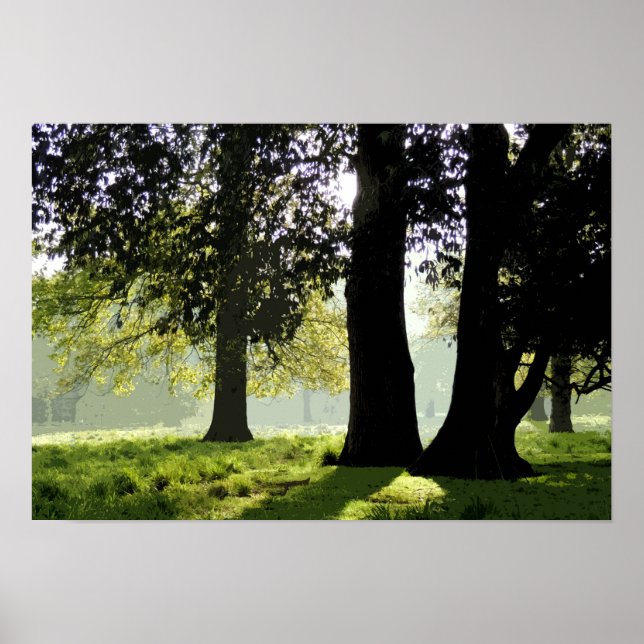 PÓSTER NO PARQUE (Frente)