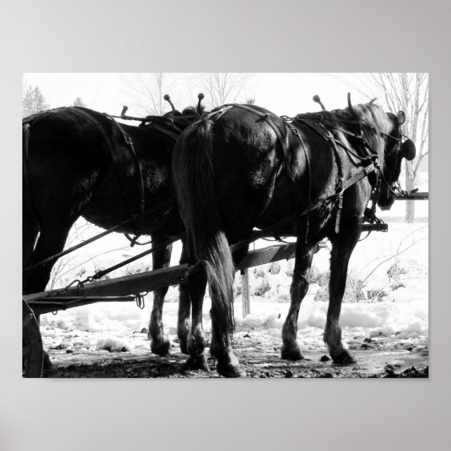 Póster No Posto Hitching (Frente)