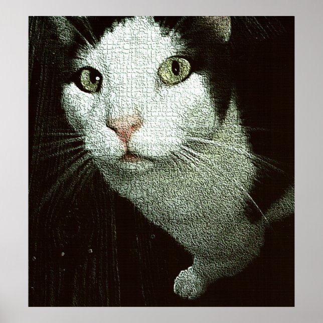 Poster No Seu Rosto Bob (Frente)