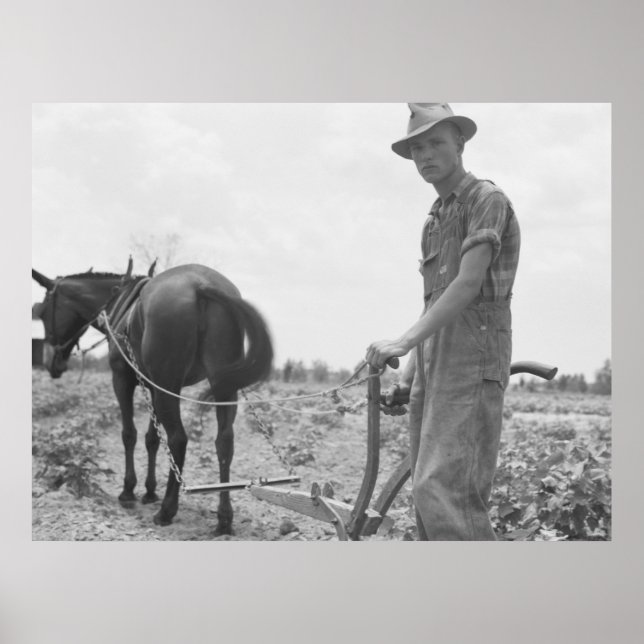 Póster No trabalho no algodão (Frente)