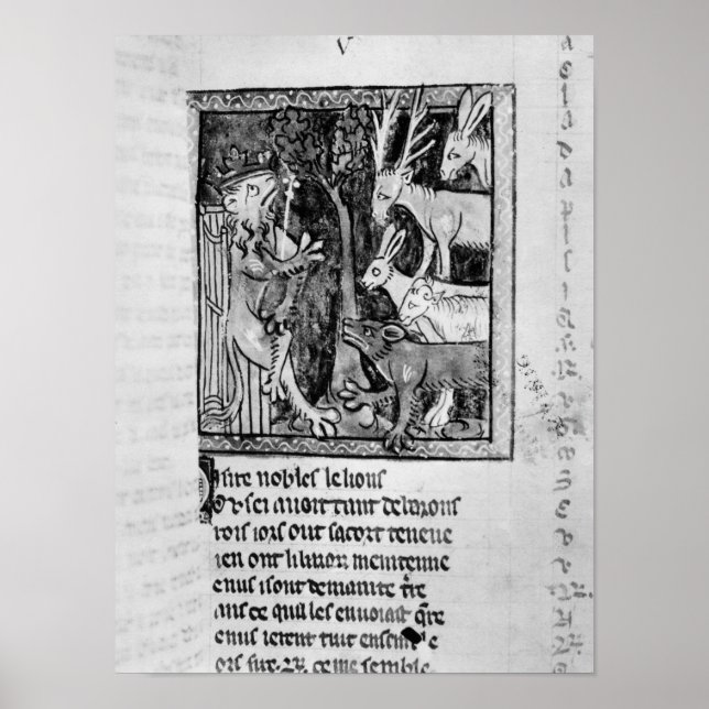 Póster Noble holding, ilustração "Roman de Renart" (Frente)
